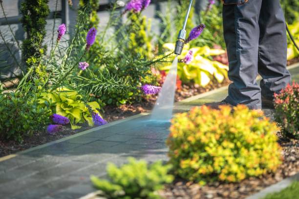 Professional Pressure Washing Services in North Druid Hills, GA
