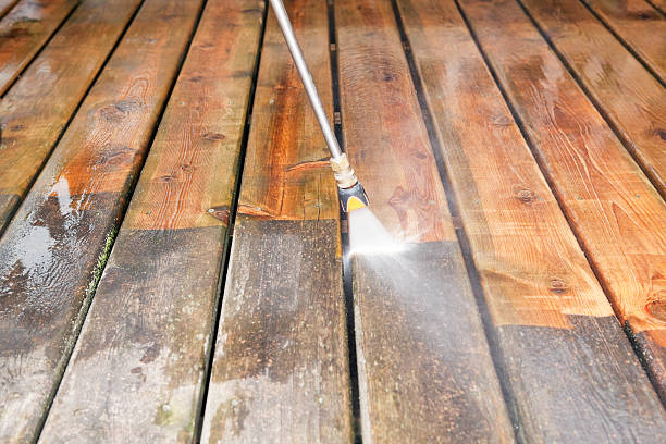 Best Driveway Pressure Washing  in North Druid Hills, GA